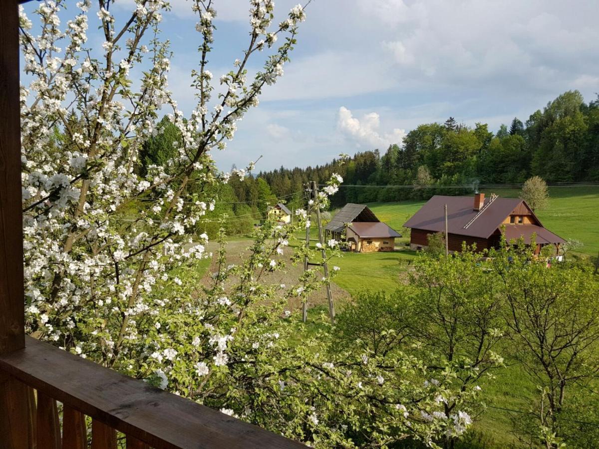 Gosciniec Tokarzonka Villa Istebna Eksteriør bilde